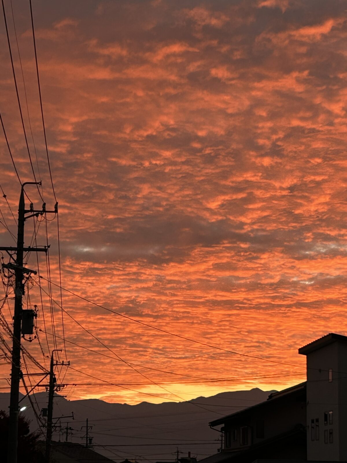 早起きは三文の・・・？