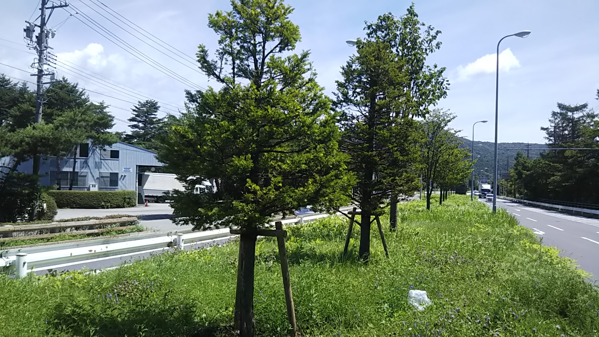 植物用保水ポリマー GA8 20kg 水分 養分 吸収 蓄積 保水 清水 代引不可 - 1