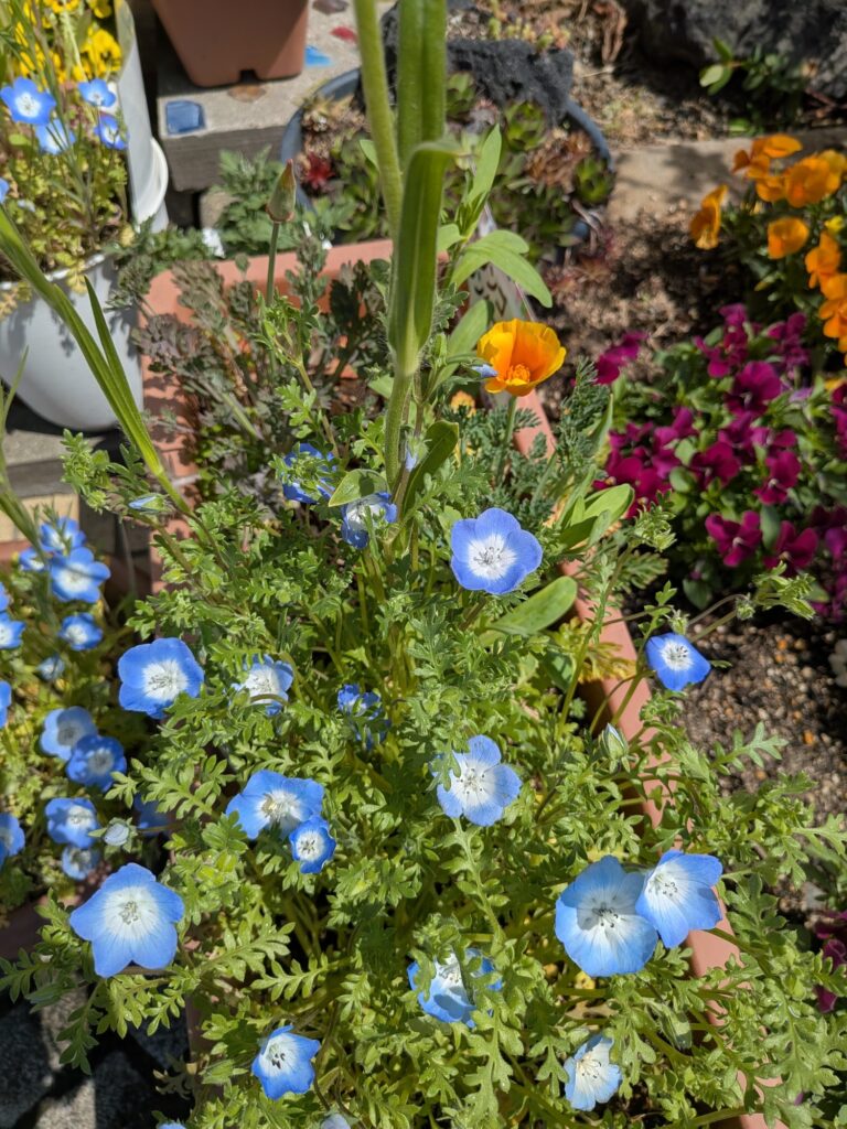 PXL_20260416_035208211